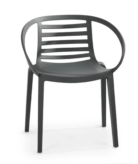 Mambo Dining Arm Chair