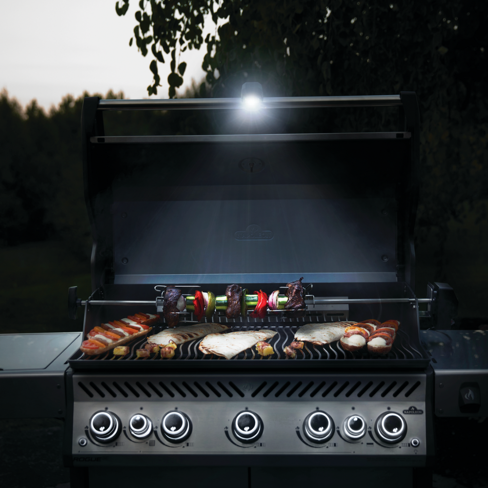 Napoleon Grill Light