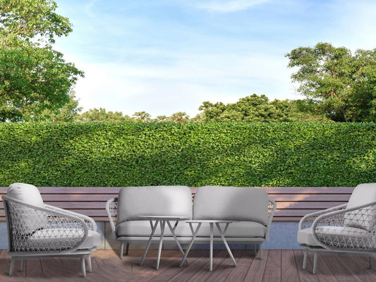 Cuddle Collection 3pc Club Set