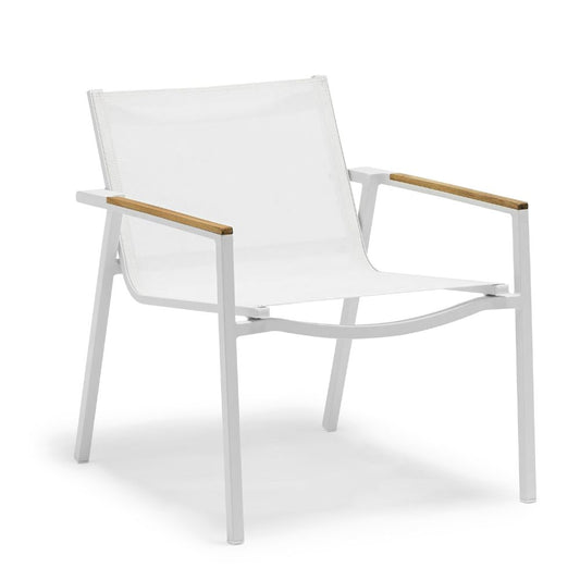 Ella Collection Club Chair