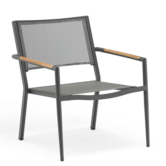 Polo Collection Occasional Club Chair