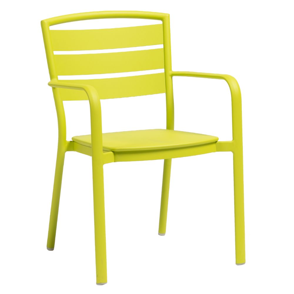 Ciara Dining Arm Chair