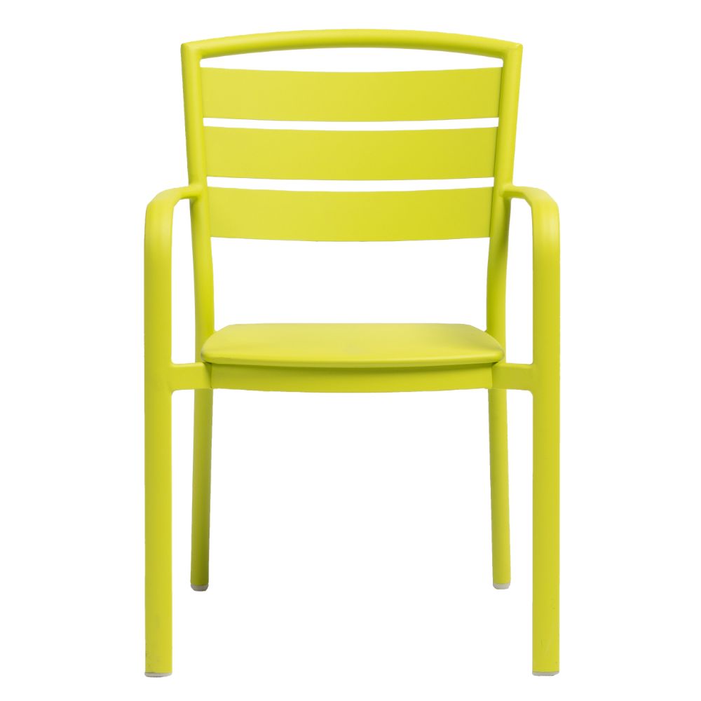 Ciara Dining Arm Chair