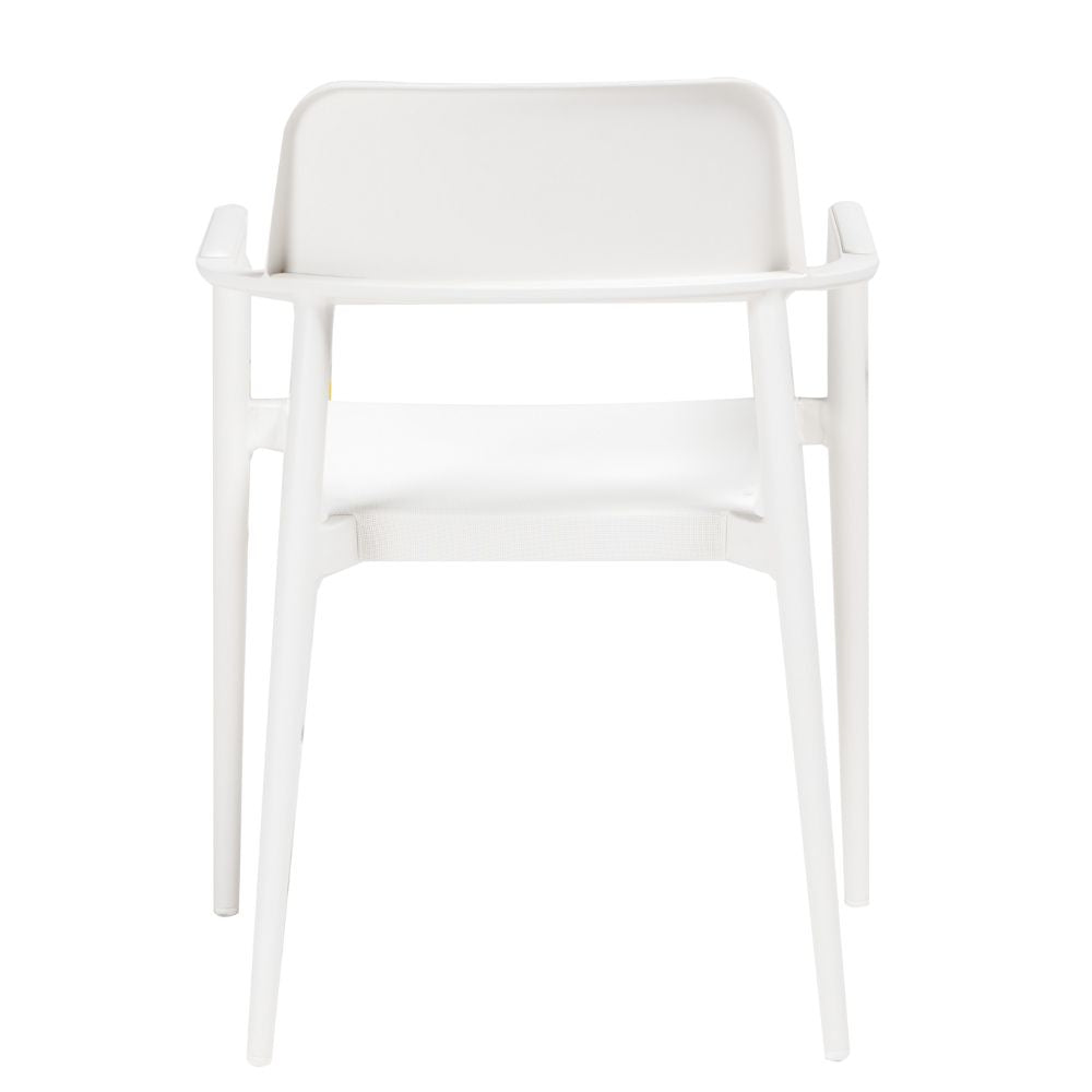 Jordan Dining Arm Chair