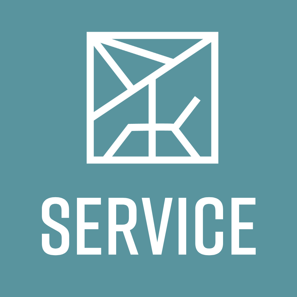 Service: Cushion Cleaning