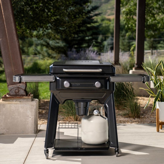 Traeger Flatrock 2 Zone Griddle