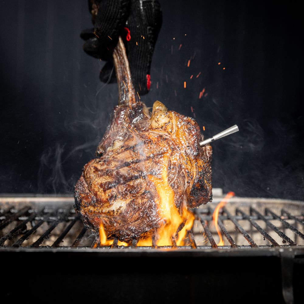 Traeger Meater Pro Wireless Meat Thermometer