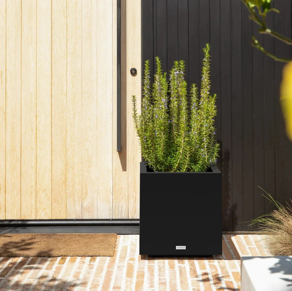 Cube Planter - Black
