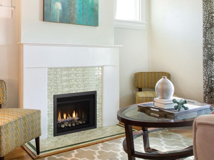Regency Horizon Radiant Compact Gas Insert