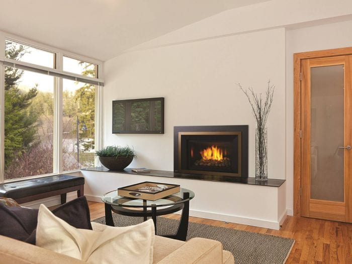 Regency Horizon Large Gas Insert