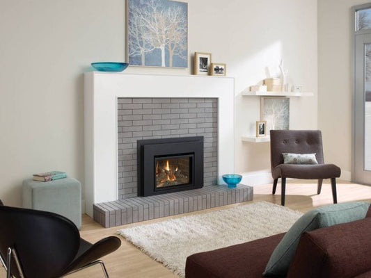 Regency Liberty Small Gas Insert