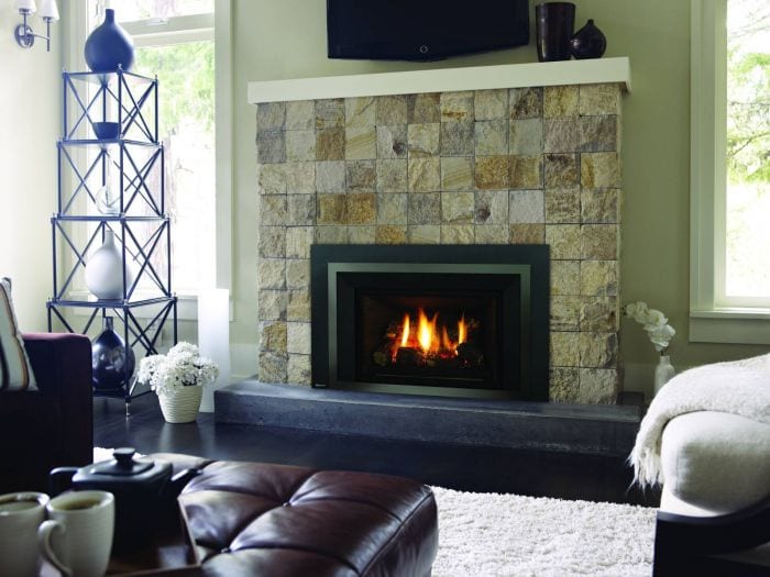 Regency Liberty Radiant Medium Gas Insert