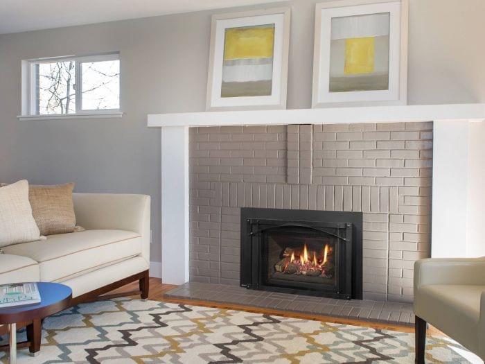 Regency Liberty Radiant Medium Gas Insert