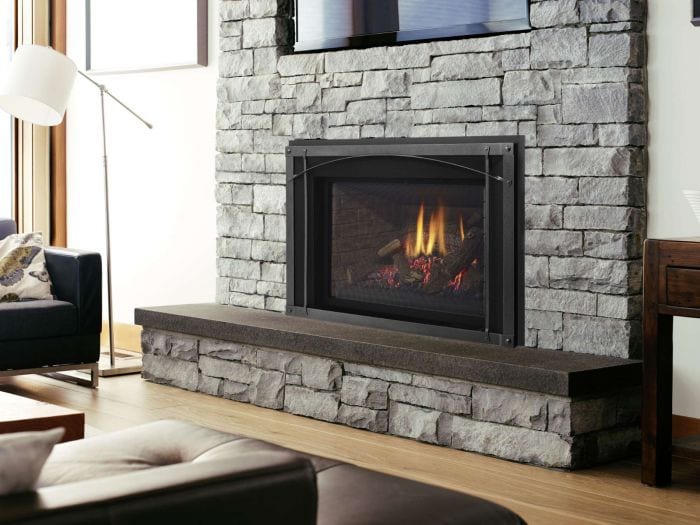 Regency Liberty Radiant Large Gas Insert