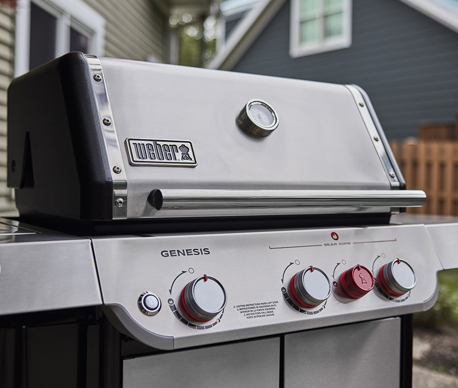 Freestanding Gas Grills