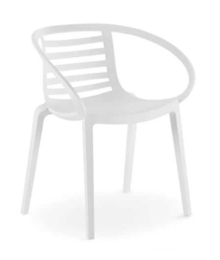 Mambo Dining Arm Chair