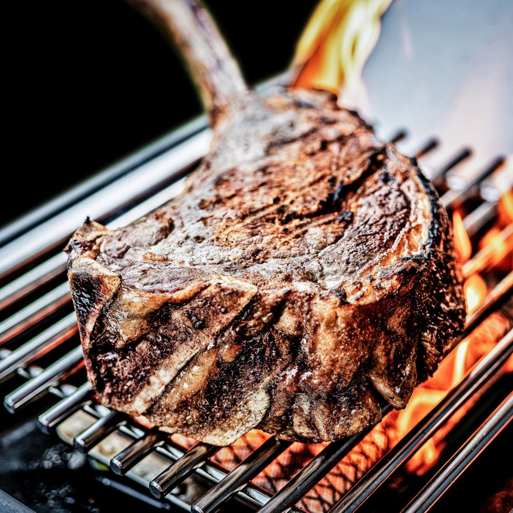 Broil King Baron 590i