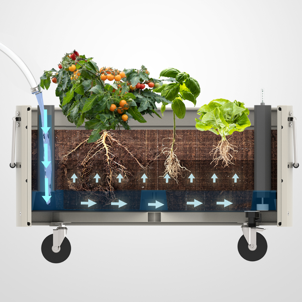Garden Bed with Self-Watering System