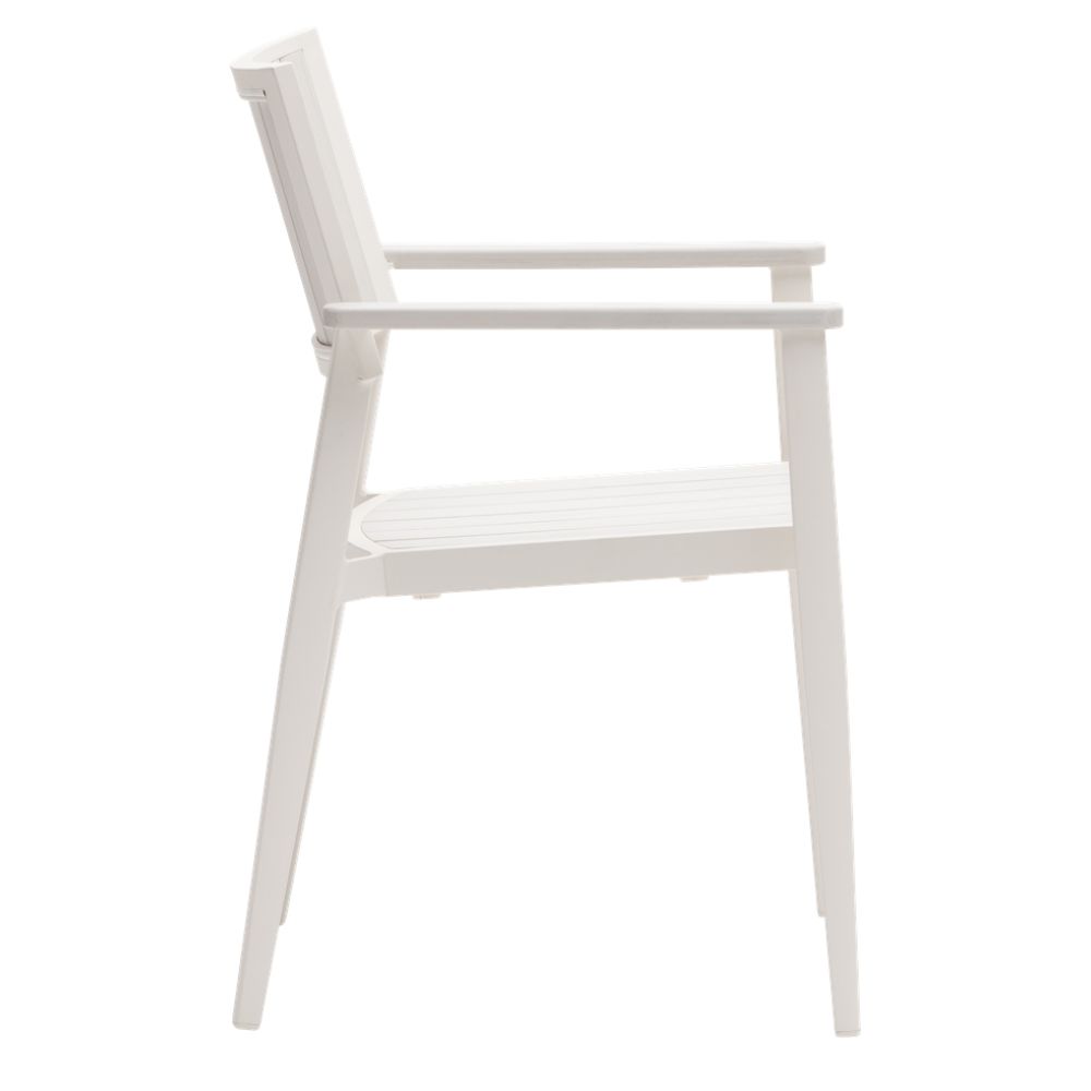 Avignon Dining Arm Chair