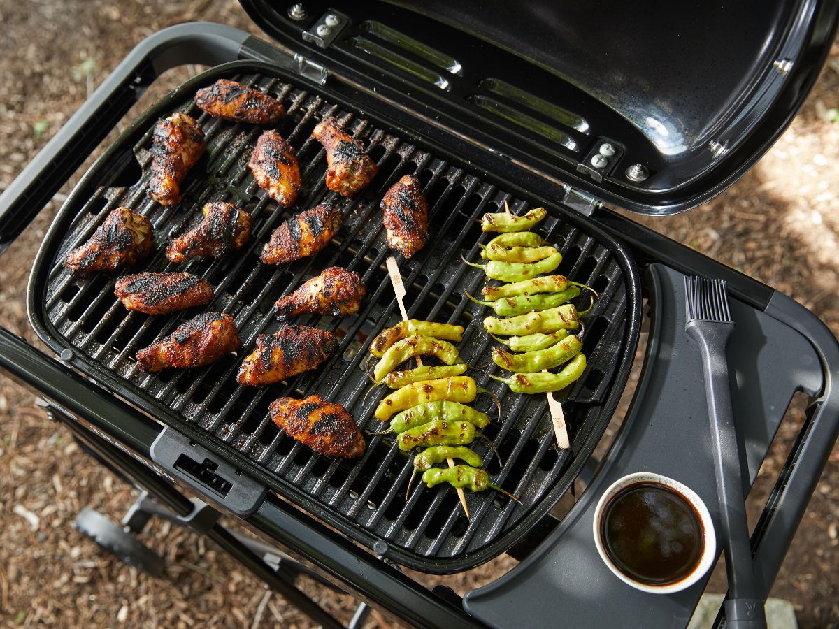 Weber Traveler Compact WW Portable Gas Grill