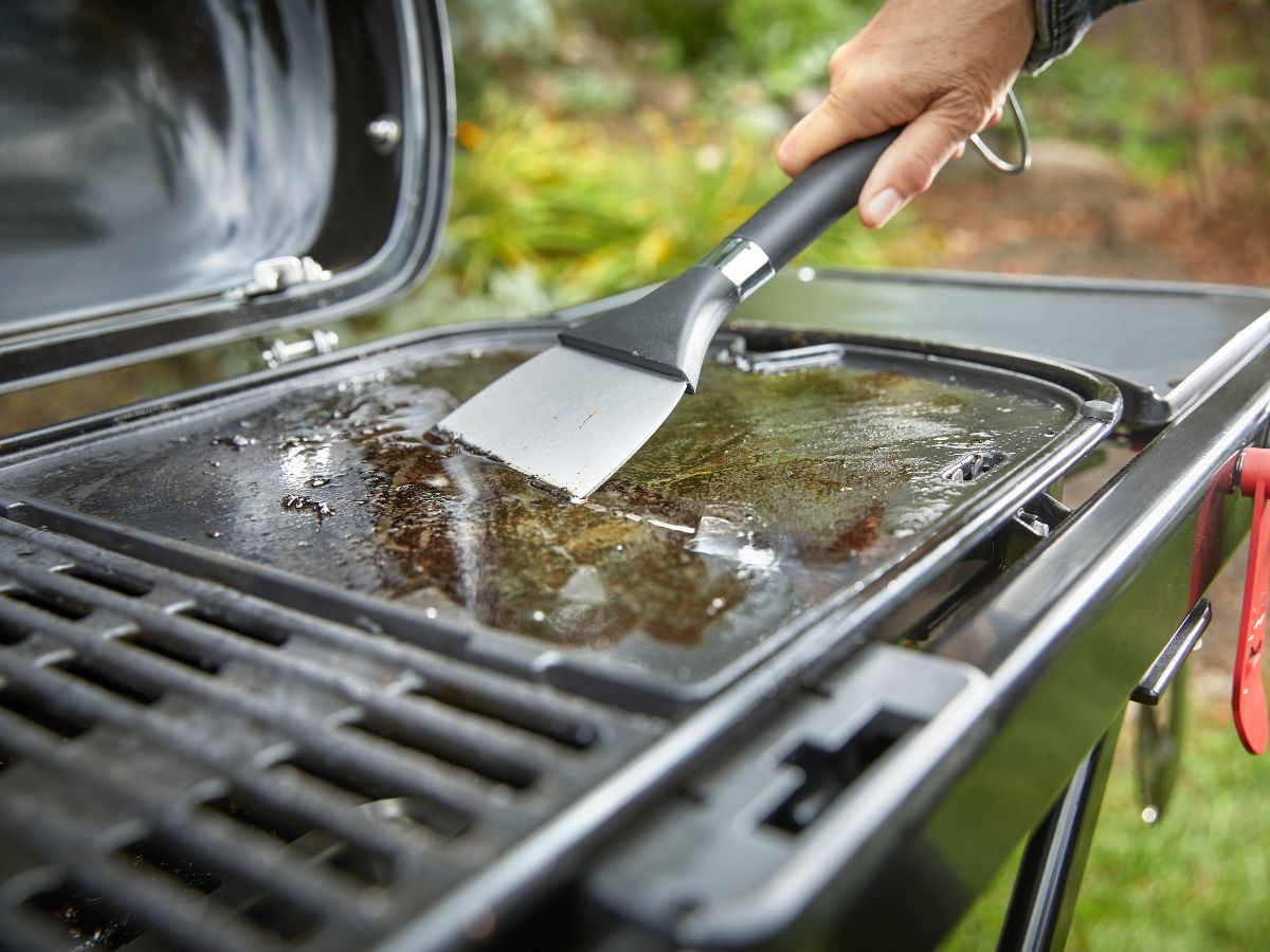 Weber Traveler WW Portable Gas Grill