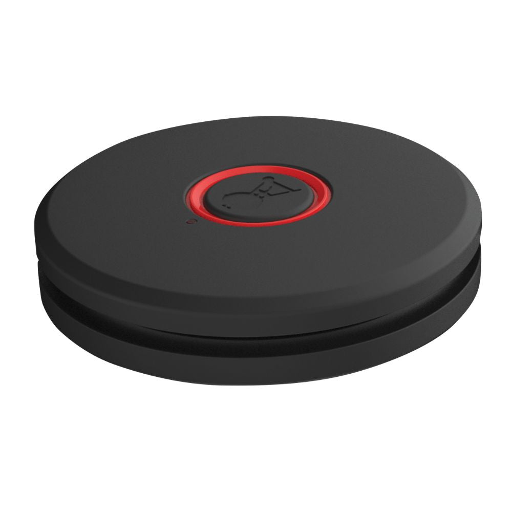 Weber Wired Bluetooth Probe