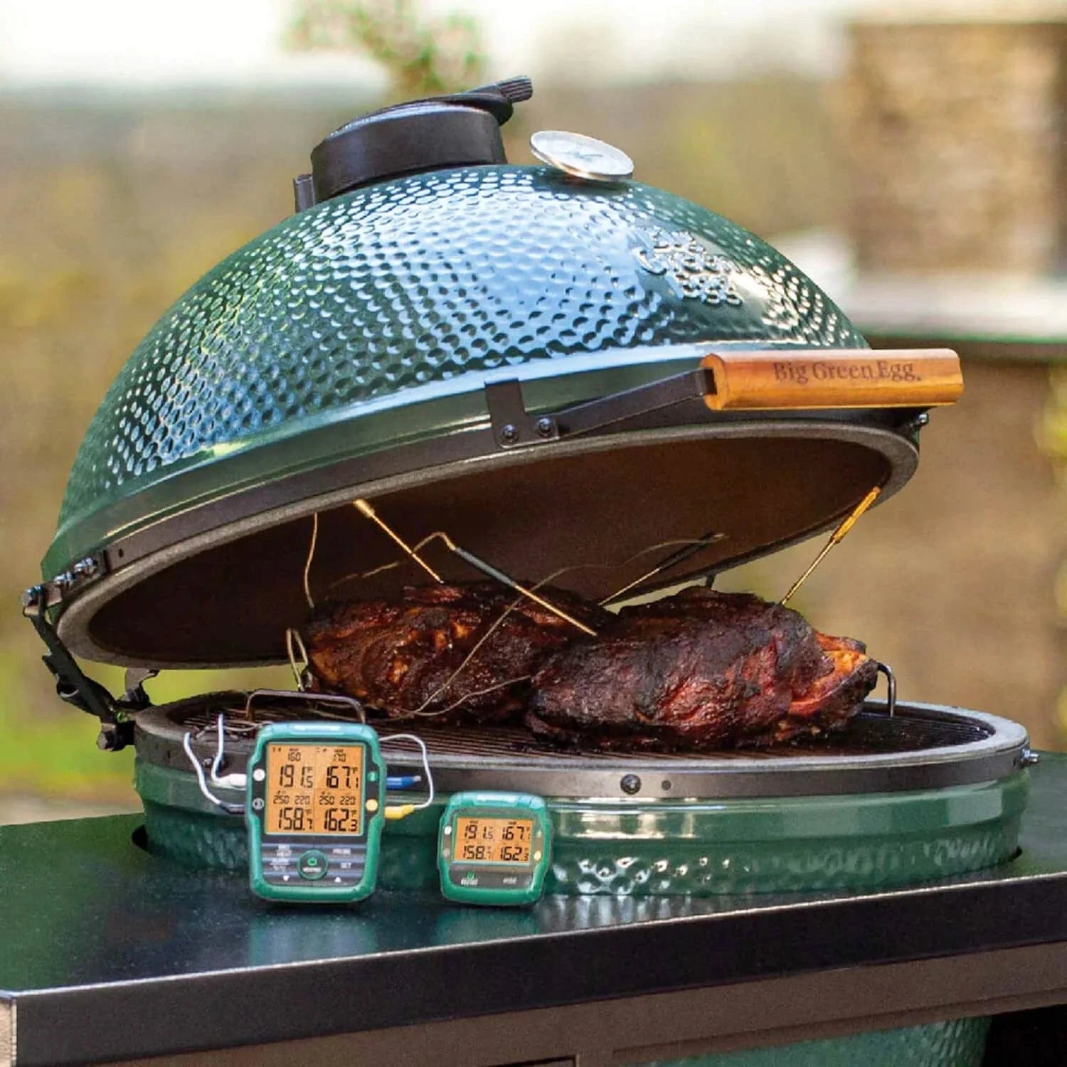 Green egg temp shop control