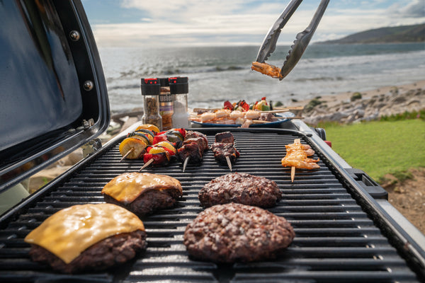 Weber Traveler review: a portable gas barbecue that folds up like