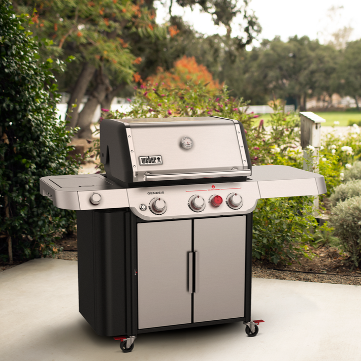 Weber sales genesis sale